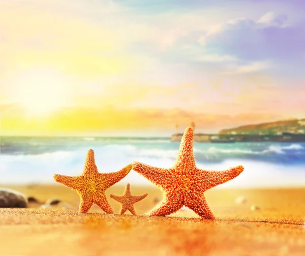 Estrella de mar de la familia en la arena amarilla cerca del mar — Foto de Stock