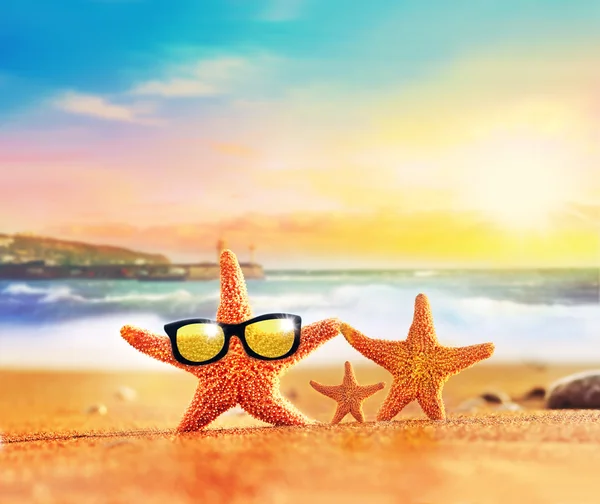 Playa de verano. Familia de estrellas de mar en gafas de sol en la orilla del mar . — Foto de Stock