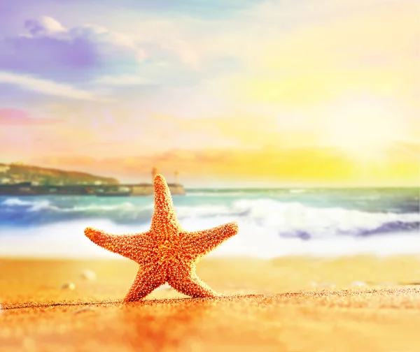 Estrella de mar sobre arena amarilla cerca del mar — Foto de Stock