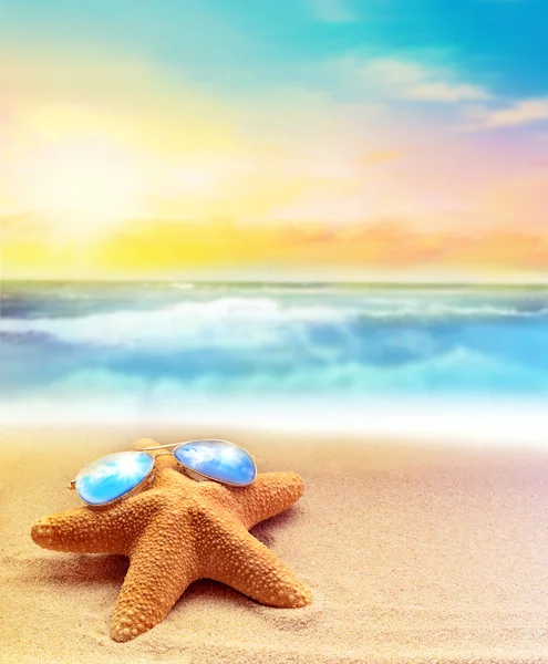 Starfish i solglasögon på sommaren stranden — Stockfoto