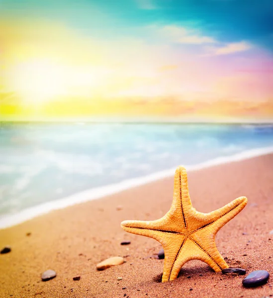 Estrella de mar en la playa. Hora de verano — Foto de Stock