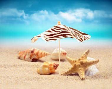 Yaz plaj şemsiyesi altında deniz yıldızı.