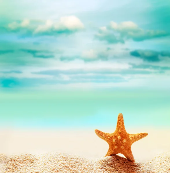 Tengeri csillag a homokos tengerparton — Stock Fotó
