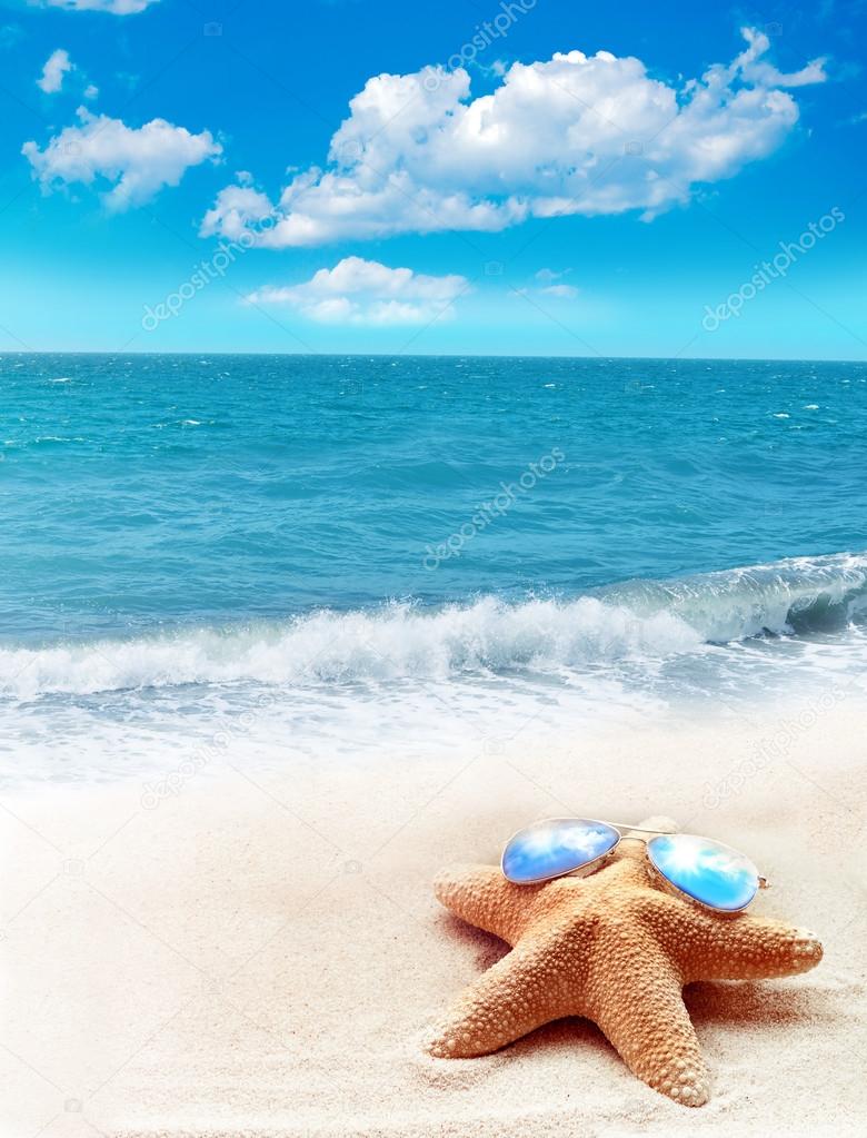 Starfish in sunglasses on sandy beach