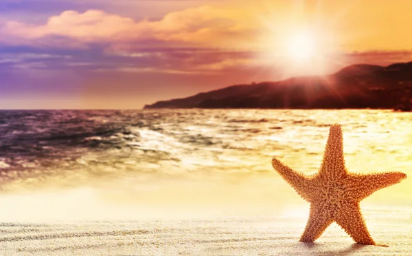Starfish in sand on the beach — Stock Photo, Image
