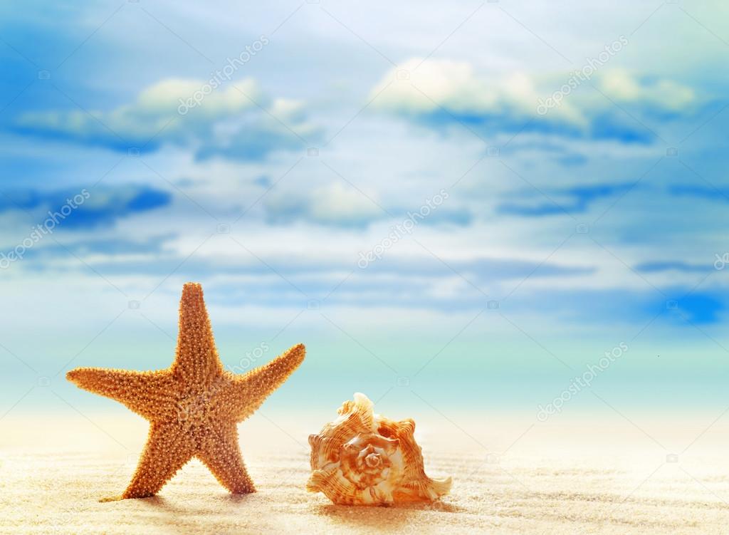 Starfish and seashell on white sand beach with ocean