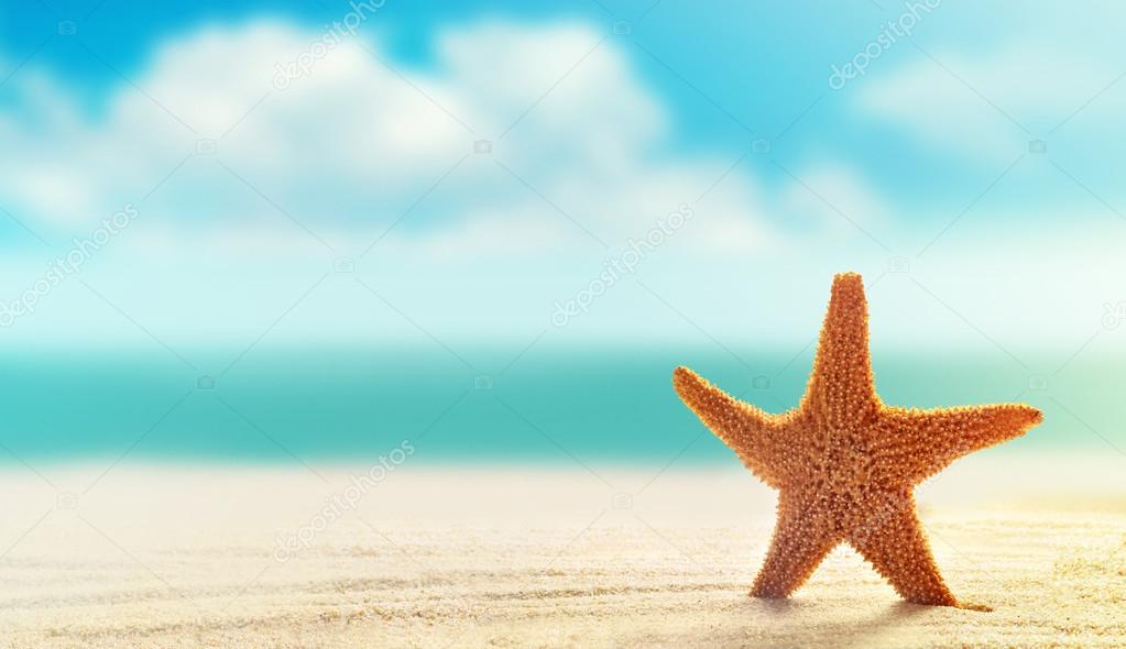 Starfish on white sand beach with ocean