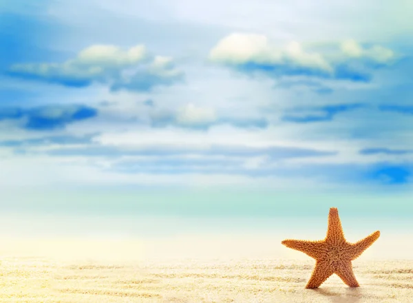 Starfish on white sand beach with ocean — Stock Photo, Image