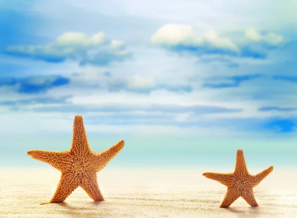 Dos estrellas de mar en la playa de arena blanca con el océano — Foto de Stock