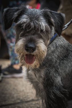 Tel Aviv İsrail 06.10.2025 Tel Aviv 'deki Rehineler Meydanı' ndaki bir gösteriden bir görüntü. İnsanlar, 7 Ekim 'deki Hamas saldırısında kaçırılan İsrailli rehinelerin serbest bırakılması için tabela, portre ve mesajlar taşıyorlar.