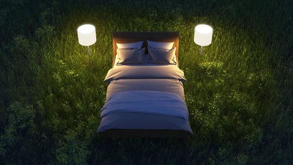 Ліжко в нічному полі Стокове Зображення