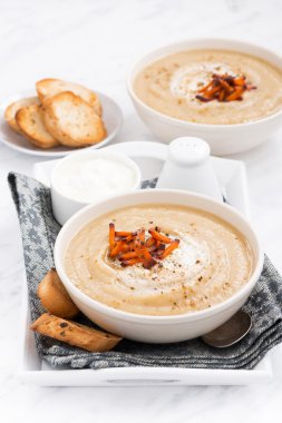 tepsi, dikey croutons baharatlı sebze çorbası