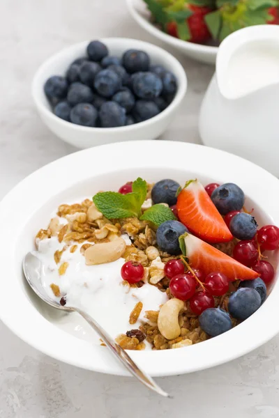 Gebakken muesli met verse bessen en yoghurt, verticale — Stockfoto