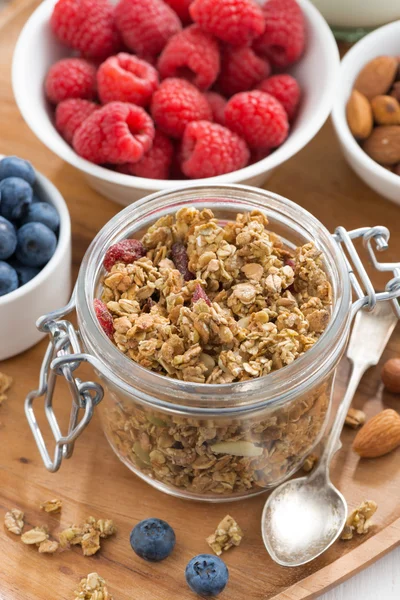 Glazen pot met zelfgemaakte muesli en verse bessen, verticale — Stockfoto