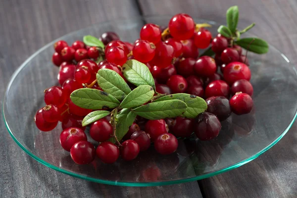 Cowberries ve bir cam levha, closeup içinde kırmızı kuş üzümü — Stok fotoğraf