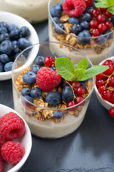 Dessert met melk zoete room, verse bessen en muesli — Stockfoto