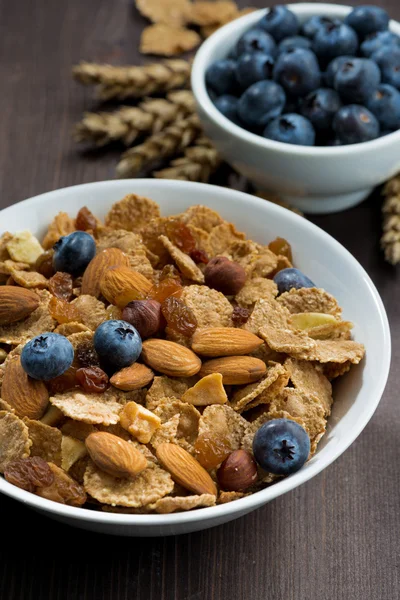 Ontbijt graanvlokken met bosbessen en noten — Stockfoto