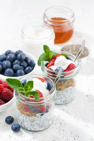 Frukost i en burk med chia, bär och havre flingor, vertikal — Stockfoto