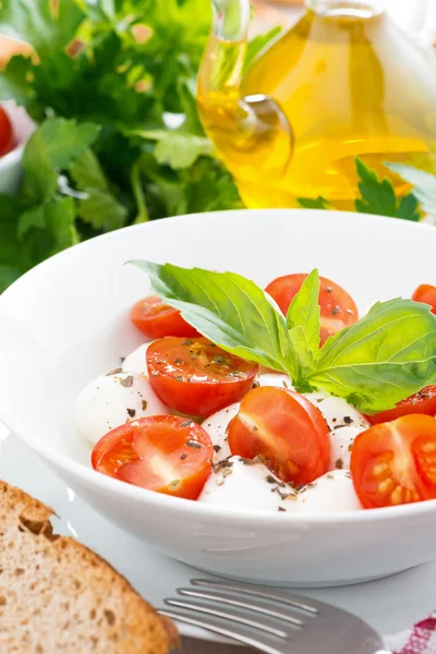 Frischer Salat mit Mozzarella und Kirschtomaten, Nahaufnahme — Stockfoto