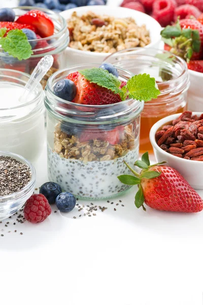 Frukost en burk, chia med bär och havre flingor — Stockfoto