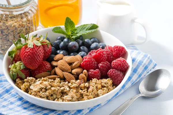 Desayuno nutritivo saludable con cereales y bayas — Foto de Stock