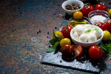 Mozzarella peyniri, taze sebze ve baharat için hazırlık salata