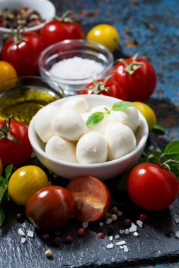 Mozzarella peyniri, taze sebze ve baharat karanlık bir arka plan üzerinde