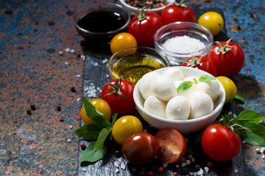 Mozzarella peyniri, taze sebze ve baharat karanlık bir arka plan üzerinde