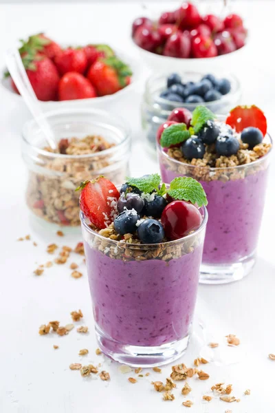 Blueberry desszert a friss bogyós gyümölcsök és granola — Stock Fotó