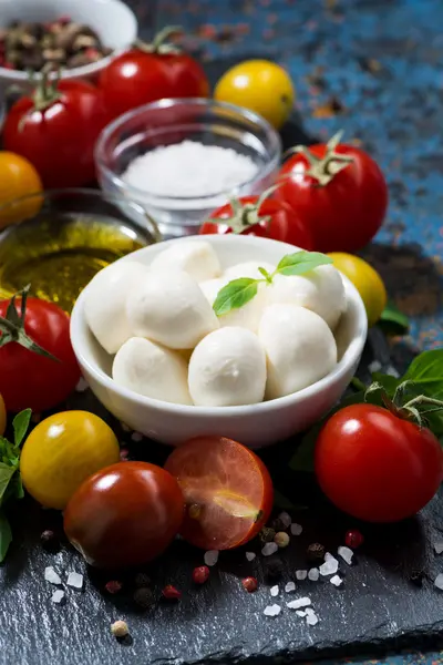 Mozzarella peyniri, taze sebze ve baharat karanlık bir arka plan üzerinde