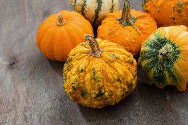 Gri bir ahşap zemin, closeup üzerine kabaklar