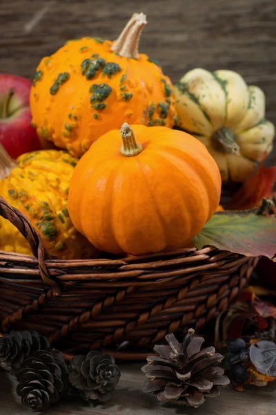 Seasonal pumpkins and apples in the basket, vertical, closeup — Stock Photo, Image