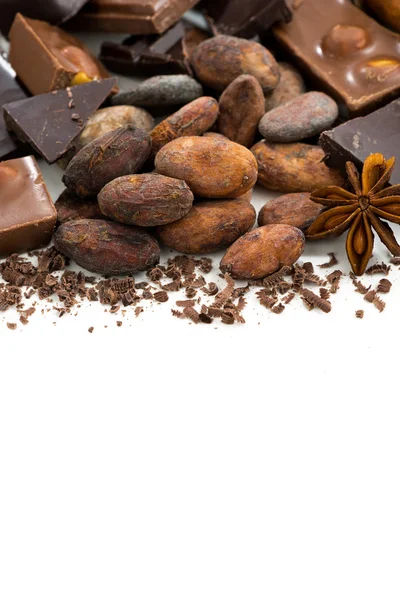 Fondo con granos de cacao, chocolate y especias, vertical —  Fotos de Stock