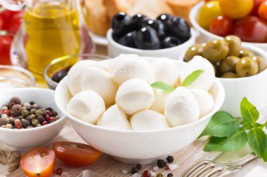 Mozzarella peyniri, portre, seçici odak ile salata için malzemeler