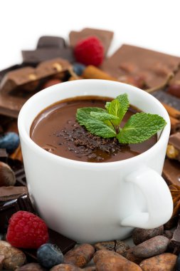 sıcak çikolata nane ve malzemeler, dikey