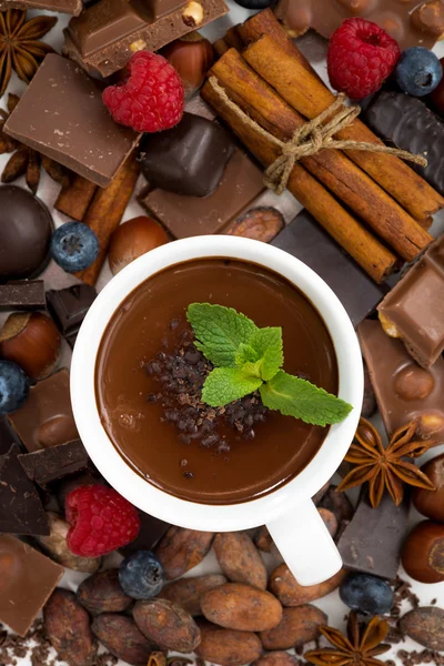 Chocolate quente com hortelã em uma xícara e ingredientes, vertical — Fotografia de Stock