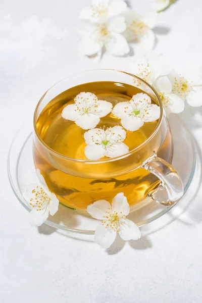 Tasse Thé Vert Parfumé Frais Avec Jasmin Sur Fond Blanc — Photo