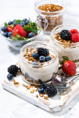 Taze böğürtlenli, dikey manzaralı sağlıklı kremalı tatlı.