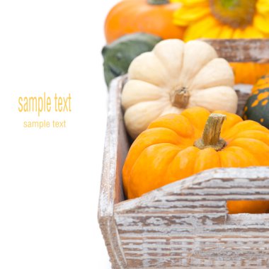 bir ahşap tepsi, seçici odak, izole karışık kabaklar