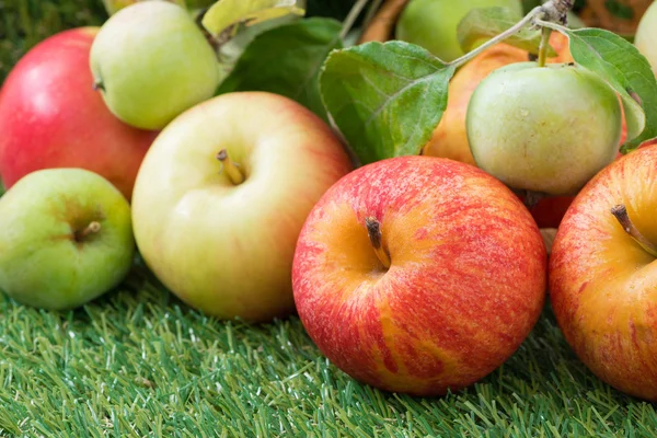 Verse tuin appels op groen gras — Stockfoto