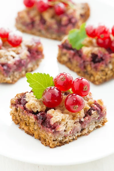 Berry tart with fresh redcurrants and mint on white plate — Stock Photo, Image