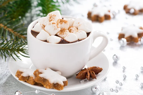 Hot chocolate with marshmallows and gingerbread cookie — Stock Photo, Image