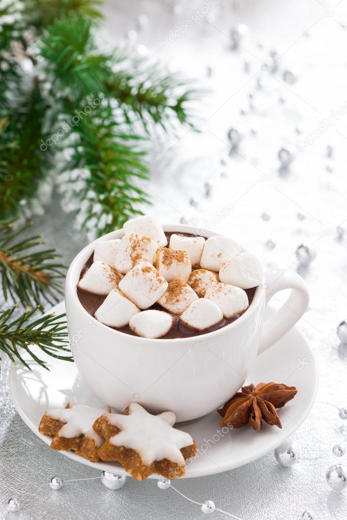 Hot chocolate with marshmallows and gingerbread cookies
