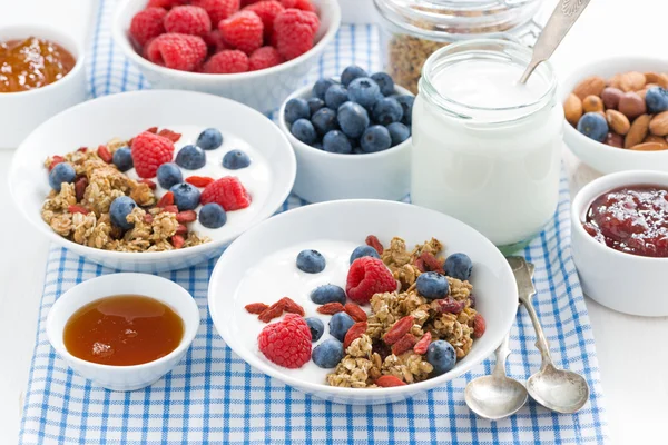 Frukost med granola, bär, honung och yoghurt, horisontell — Stockfoto