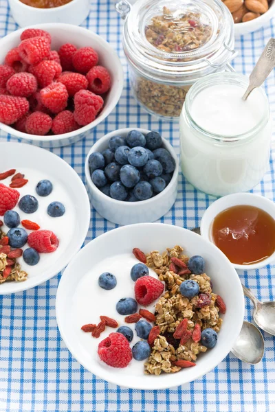 Frokost med granola, bær, honning og yoghurt, utsikt over toppen – stockfoto