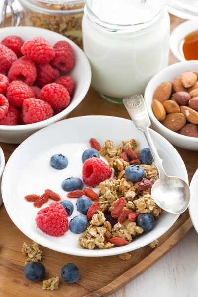 Hemmagjord müsli med färska bär och yoghurt till frukost — Stockfoto