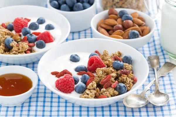 Pyszne śniadanie z muesli, jagody i jogurt — Zdjęcie stockowe