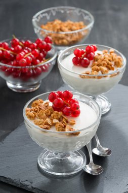 kremsi panna cotta granola ve kırmızı kuş üzümü, dikey