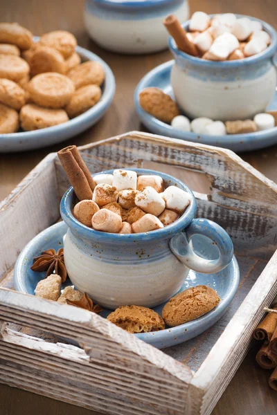 Kakao mit Marshmallows, Zimt und Gewürzen auf einem Holztablett — Stockfoto