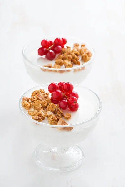 Romige panna cotta met muesli en bessen — Stockfoto